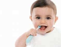 Baby Dental Exams in Brighton